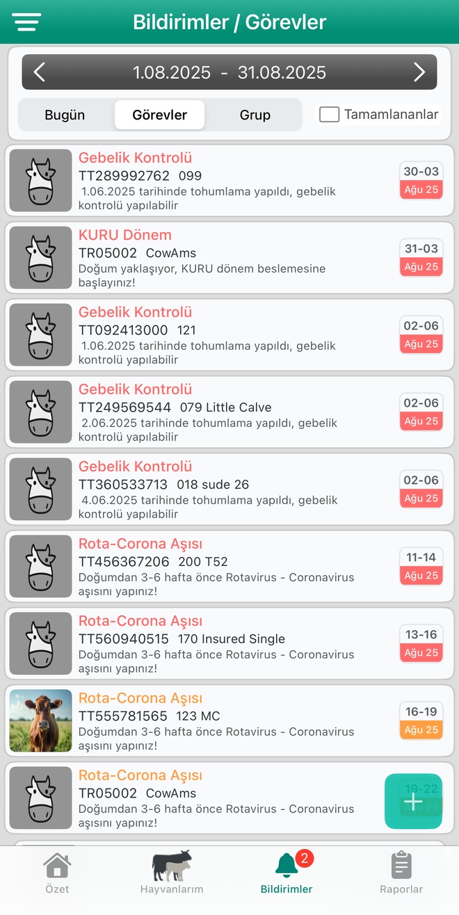 Buyukbas hayvan bildirim sistemi