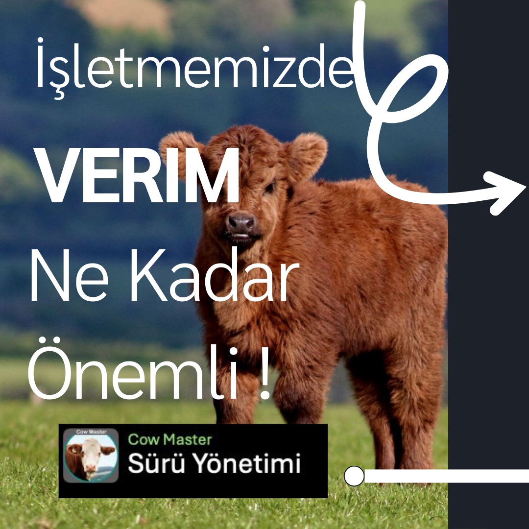 maksimum verim için düzenli veri girişi görseli