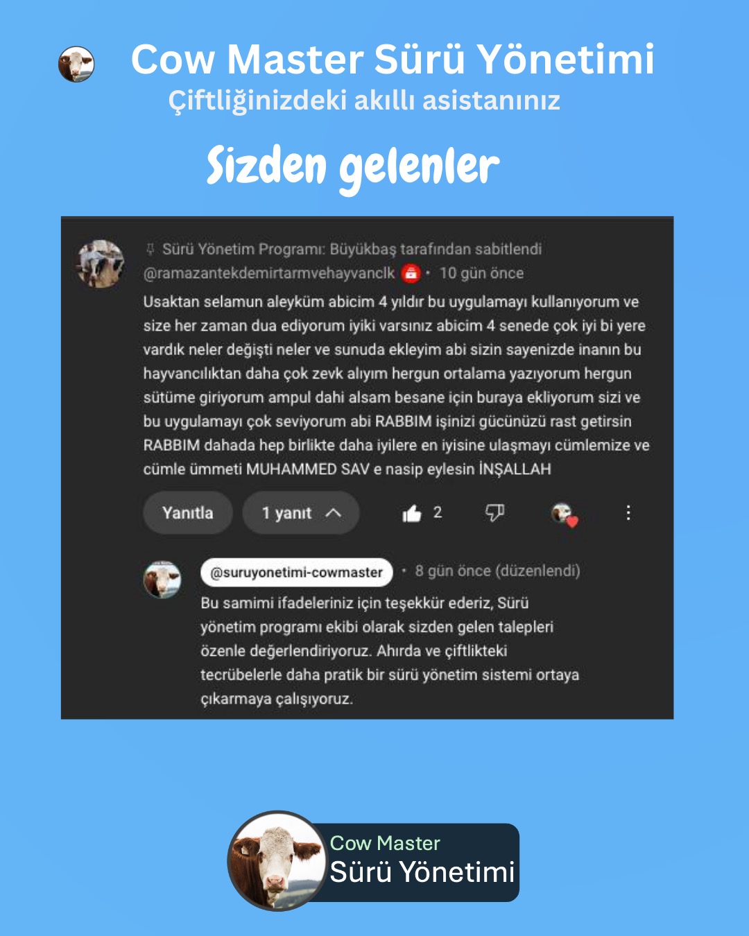 sürü yönetimi 6 yaşında görseli