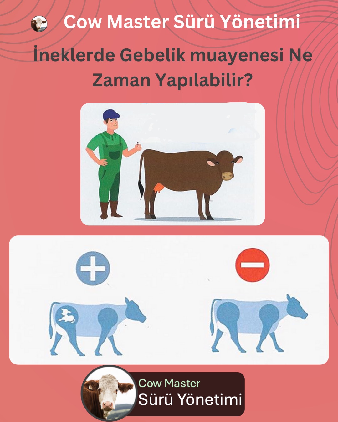 inkelerde gebelik muayenesi ne zaman yapılır görseli