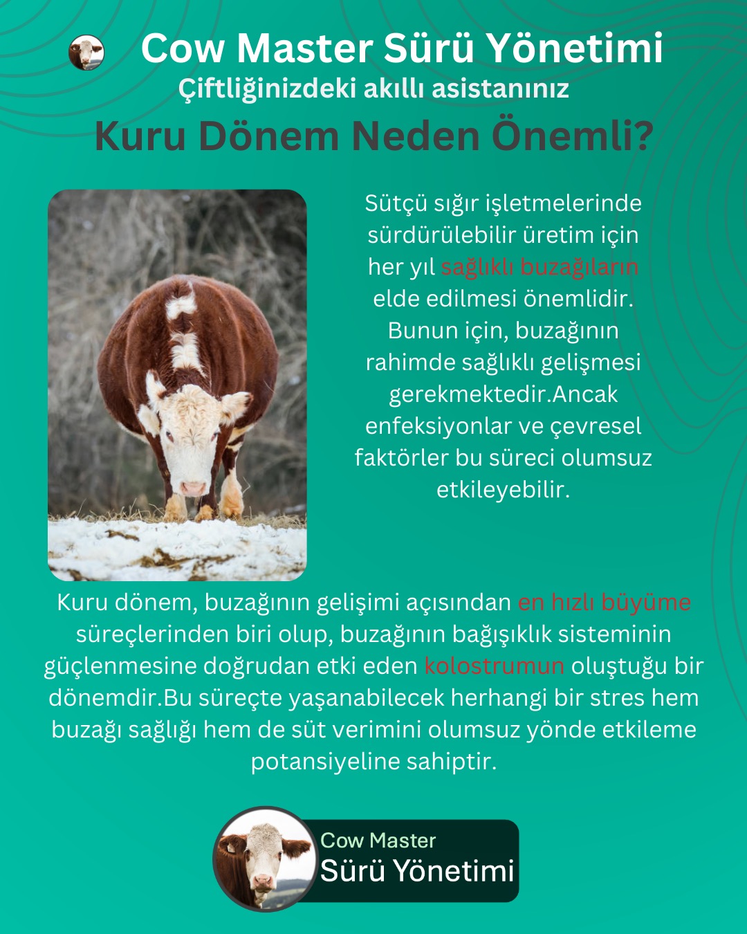 kuru dönem beslenmesi neden önemli görseli