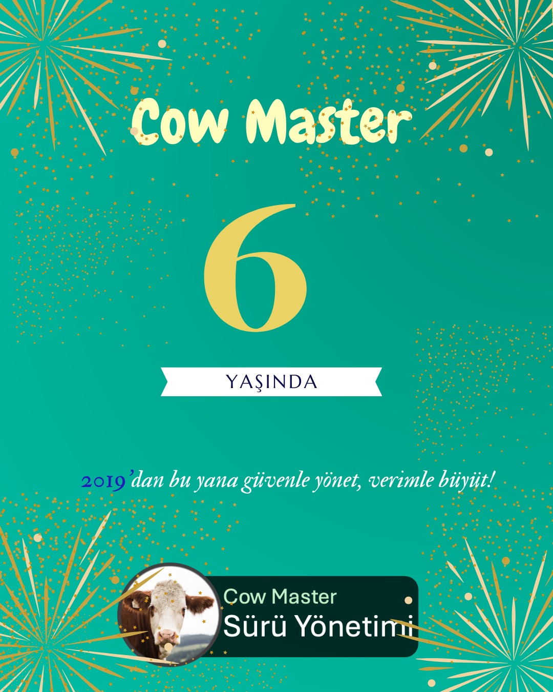 sürü yönetimi 6 yaşında görseli