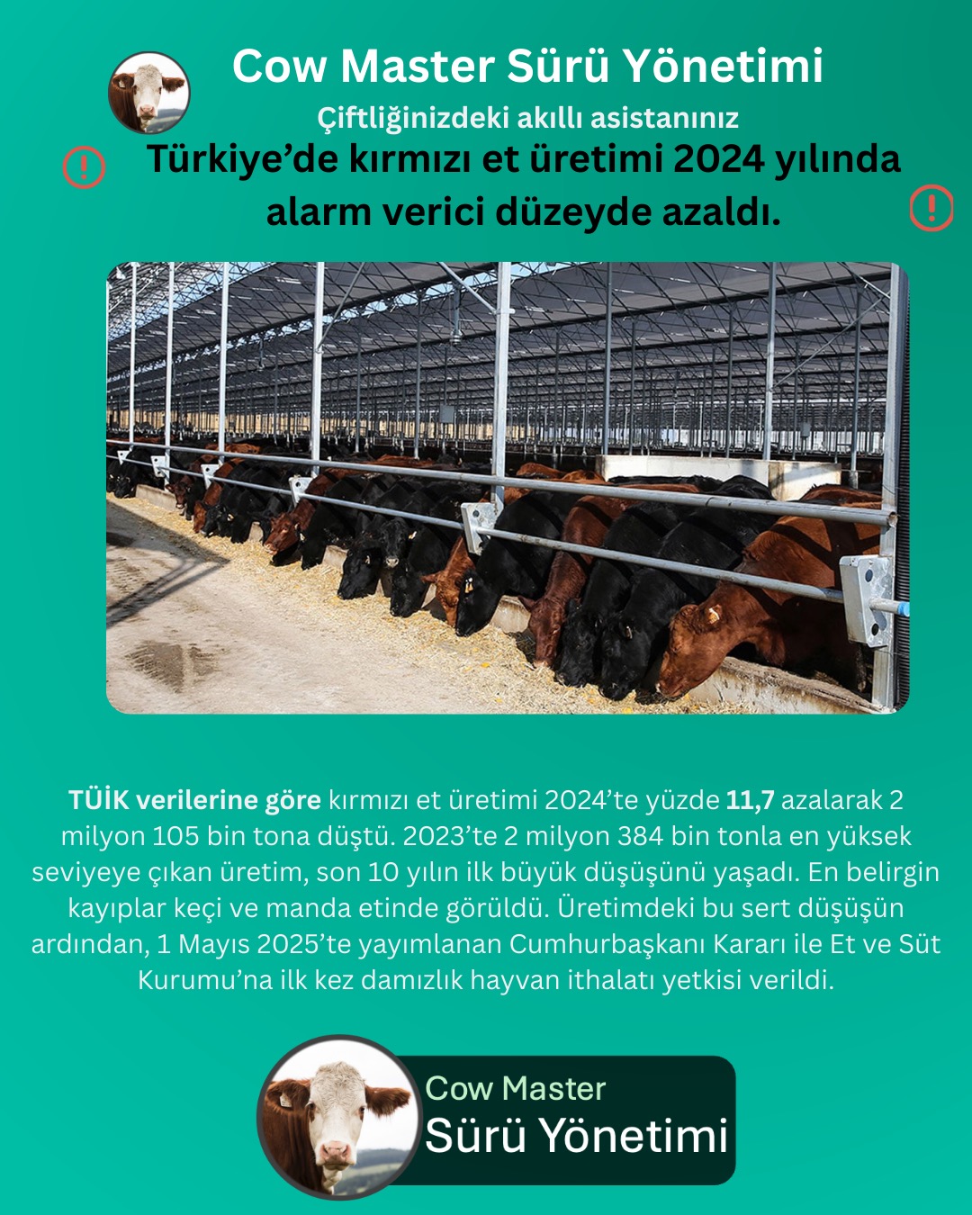 türkiye’de kırmızı et üretimi 2024 yılında alarm verici düzeyde azaldı görseli