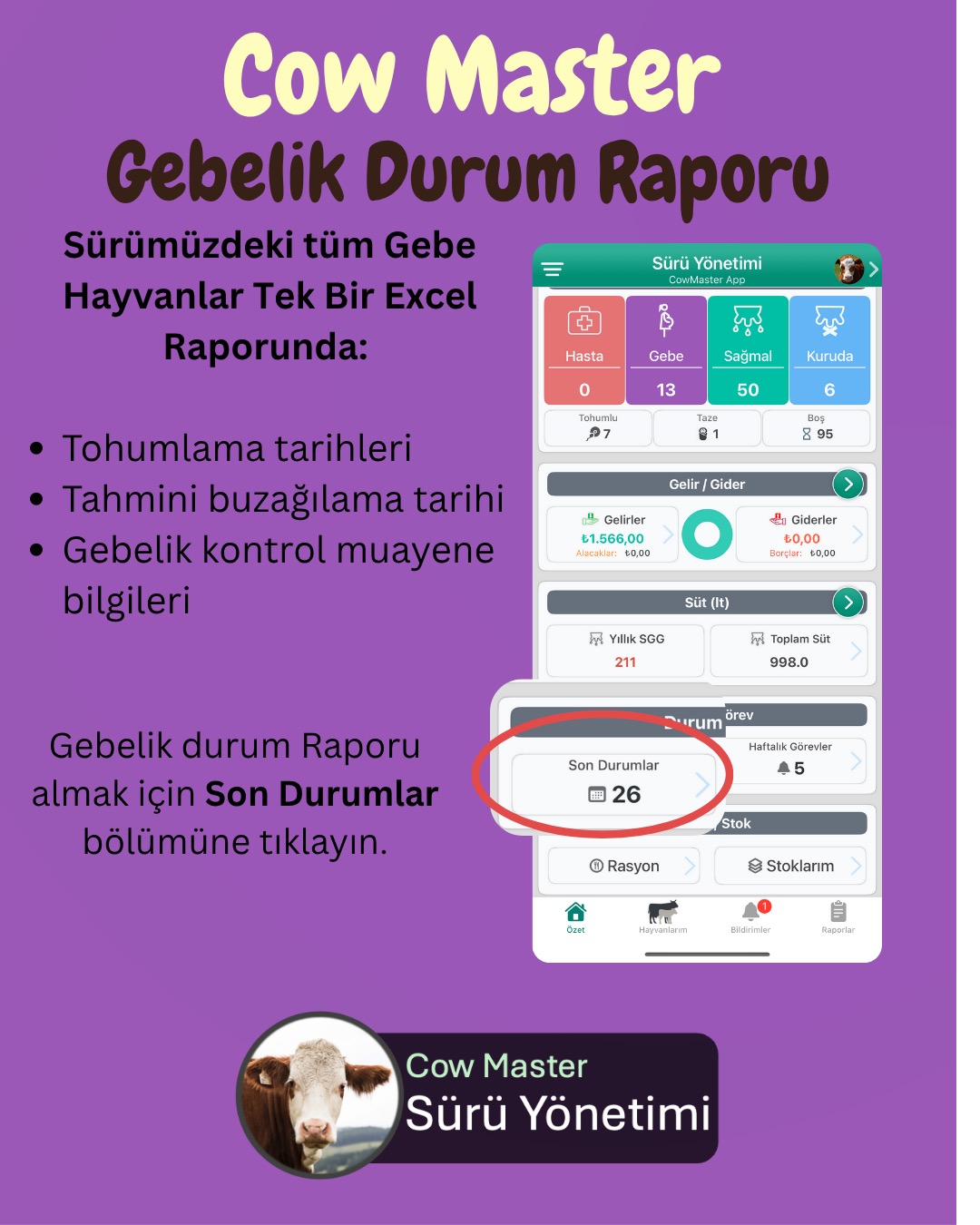 gebelik durum raporu görseli