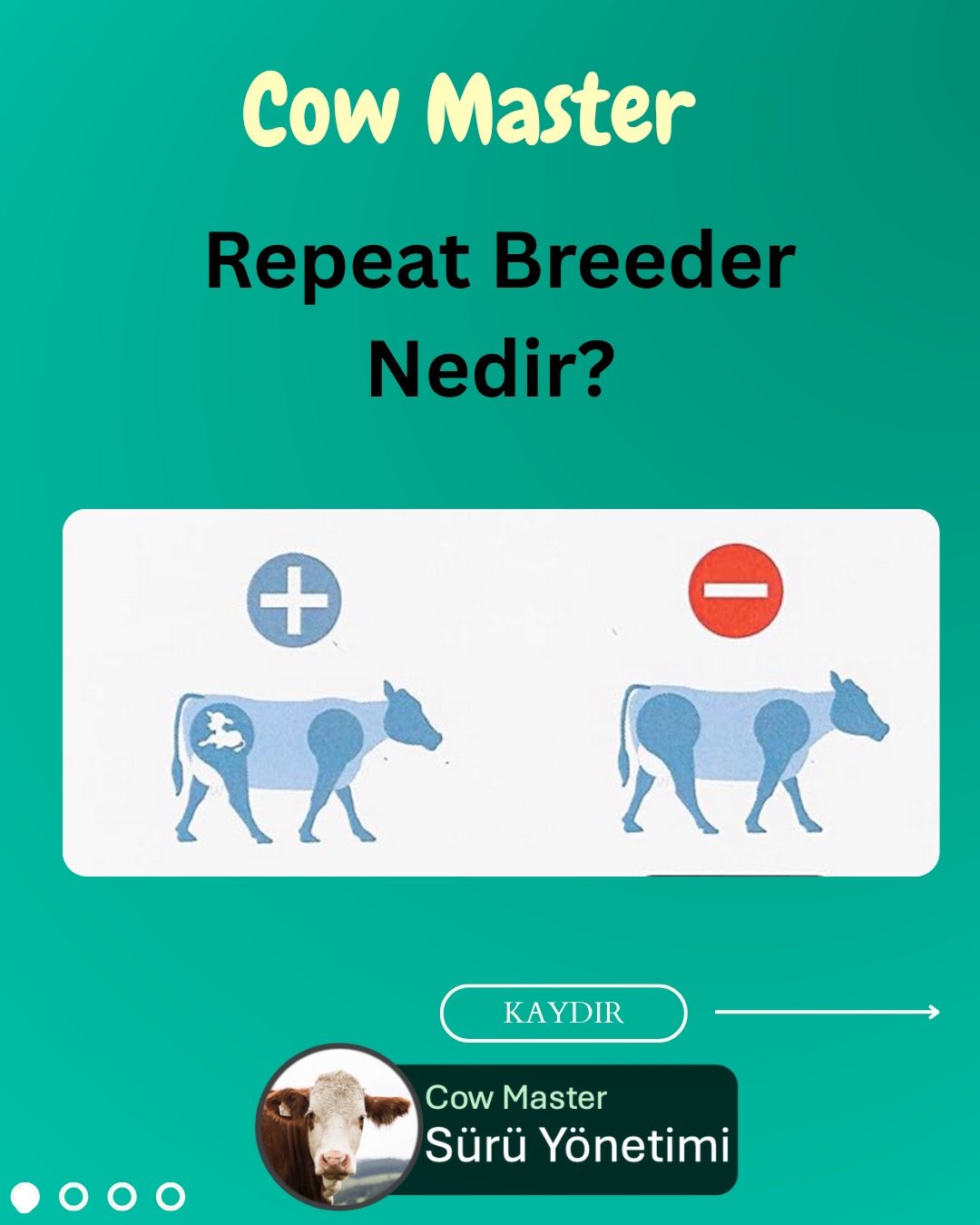 repeat breeder nedir görseli