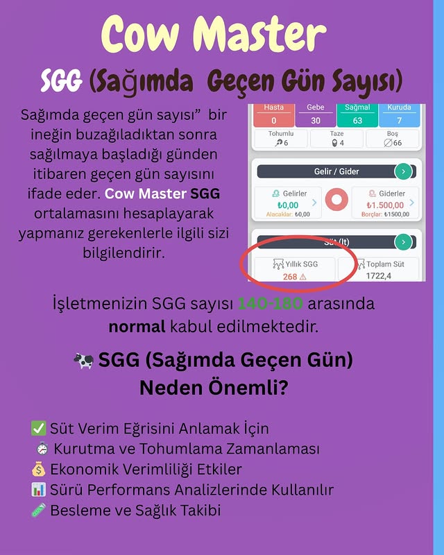 sağımda geçen gün görseli